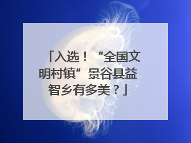 入选！“全国文明村镇”景谷县益智乡有多美？