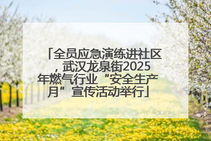 全员应急演练进社区，武汉龙泉街2025年燃气行业“安全生产月”宣传活动举行