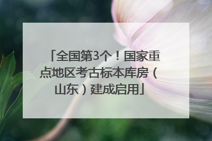 全国第3个！国家重点地区考古标本库房（山东）建成启用