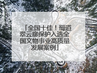 全国十佳！蜀道翠云廊保护入选全国文物事业高质量发展案例