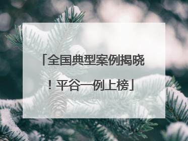 全国典型案例揭晓！平谷一例上榜