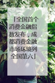 全国首个消费金融指数发布，成都消费金融市场环境列全国第六