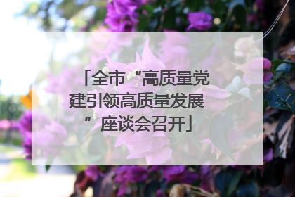 全市“高质量党建引领高质量发展”座谈会召开