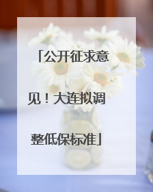 公开征求意见！大连拟调整低保标准