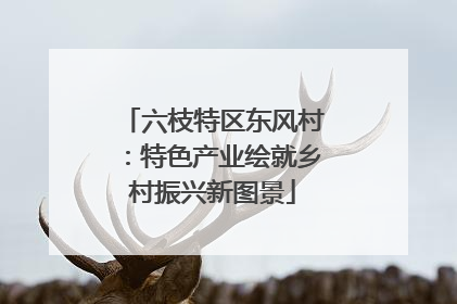 六枝特区东风村：特色产业绘就乡村振兴新图景