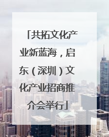 共拓文化产业新蓝海，启东（深圳）文化产业招商推介会举行
