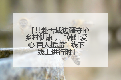 共赴雪域边疆守护乡村健康，“韩红爱心·百人援疆”线下线上进行时