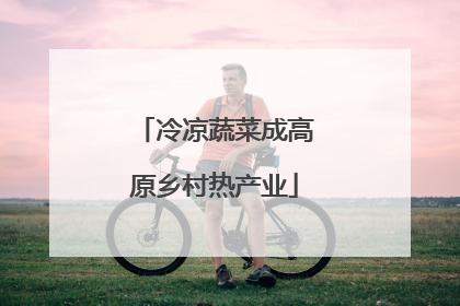 冷凉蔬菜成高原乡村热产业