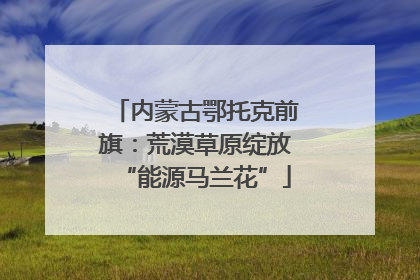 内蒙古鄂托克前旗：荒漠草原绽放“能源马兰花”