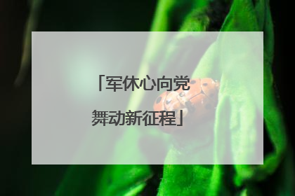 军休心向党 舞动新征程