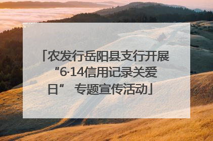 农发行岳阳县支行开展“6·14信用记录关爱日” 专题宣传活动