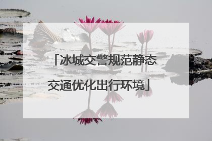 冰城交警规范静态交通优化出行环境