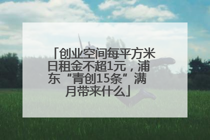创业空间每平方米日租金不超1元，浦东“青创15条”满月带来什么