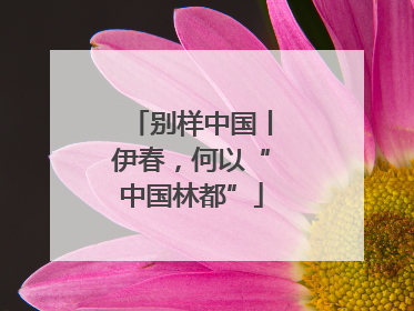 别样中国丨伊春，何以“中国林都”