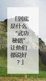 到底是什么“武功秘籍”让他们都说好？