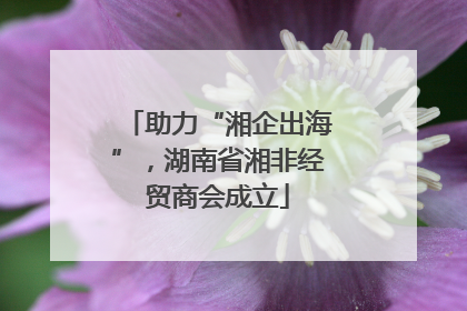助力“湘企出海”，湖南省湘非经贸商会成立