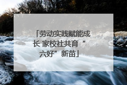 劳动实践赋能成长 家校社共育“六好”新苗