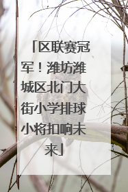 区联赛冠军！潍坊潍城区北门大街小学排球小将扣响未来