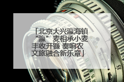 北京大兴瀛海镇“瀛”麦相承小麦丰收开镰 奏响农文旅融合新乐章