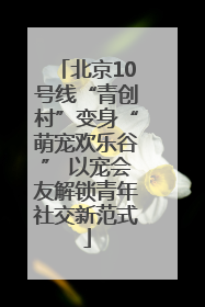 北京10号线“青创村”变身“萌宠欢乐谷” 以宠会友解锁青年社交新范式