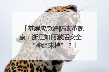 基层应急消防改革观察：浙江如何激活安全“神经末梢”？