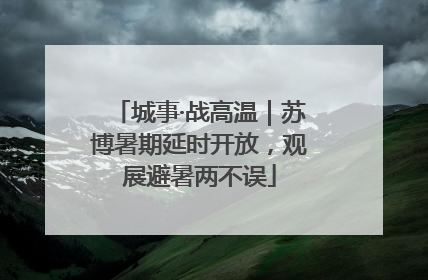 城事·战高温｜苏博暑期延时开放，观展避暑两不误