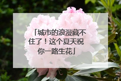 城市的浪漫藏不住了！这个夏天祝你一路生花