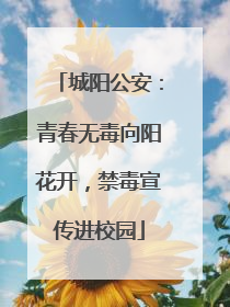城阳公安：青春无毒向阳花开，禁毒宣传进校园
