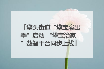 垡头街道“垡宝演出季”启动 “垡宝治家”数智平台同步上线