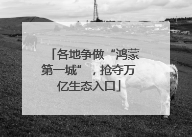 各地争做“鸿蒙第一城”，抢夺万亿生态入口