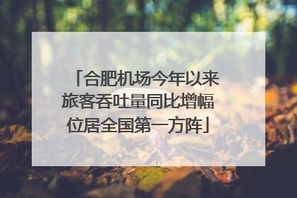 合肥机场今年以来旅客吞吐量同比增幅位居全国第一方阵