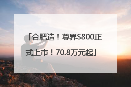 合肥造！尊界S800正式上市！70.8万元起
