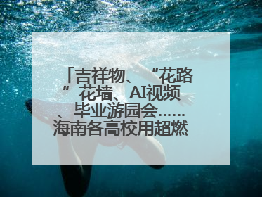 吉祥物、“花路”花墙、AI视频、毕业游园会……海南各高校用超燃仪式感为学子青春“存档”