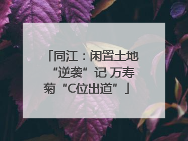 同江：闲置土地“逆袭”记 万寿菊“C位出道”