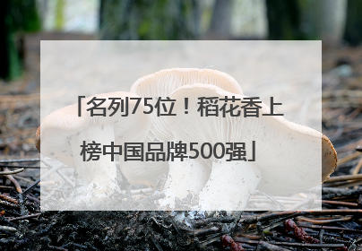 名列75位！稻花香上榜中国品牌500强