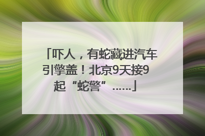 吓人，有蛇藏进汽车引擎盖！北京9天接9起“蛇警”……
