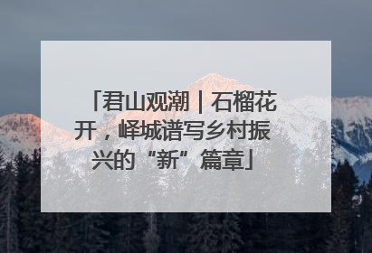 君山观潮｜石榴花开，峄城谱写乡村振兴的“新”篇章