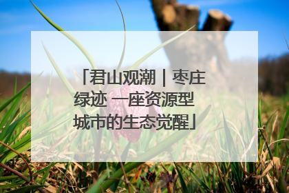 君山观潮｜枣庄绿迹 一座资源型城市的生态觉醒