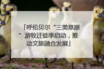 呼伦贝尔“三美草原”游牧迁徙季启动，推动文旅融合发展