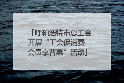 呼和浩特市总工会开展“工会促消费 会员享普惠”活动