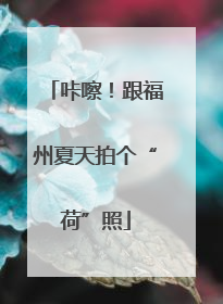 咔嚓！跟福州夏天拍个“荷”照