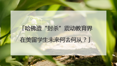 哈佛遭“封杀”震动教育界 在美留学生未来何去何从？