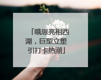 哦崽亮相西湖，巨型立塑引打卡热潮