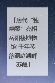唐代“独幽琴”亮相岳阳楼博物馆 千年琴韵洞庭湖畔苏醒