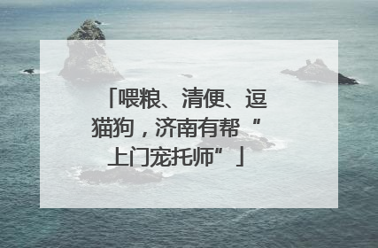 喂粮、清便、逗猫狗，济南有帮“上门宠托师”