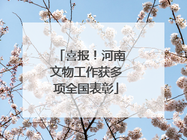喜报！河南文物工作获多项全国表彰