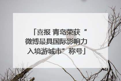 喜报 青岛荣获“微博最具国际影响力入境游城市”称号
