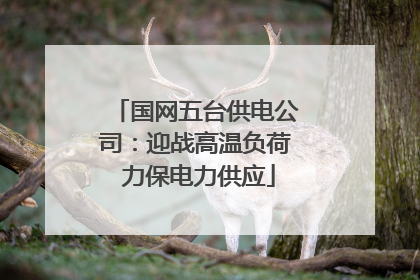 国网五台供电公司：迎战高温负荷 力保电力供应
