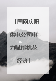 国网庆阳供电公司电力赋能桃花经济