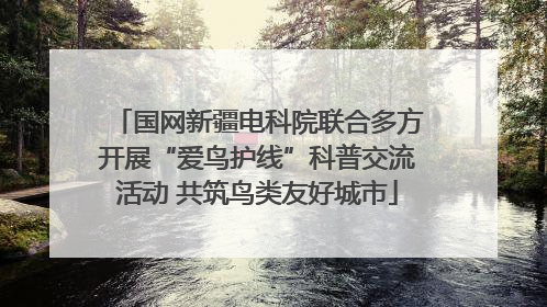 国网新疆电科院联合多方开展“爱鸟护线”科普交流活动 共筑鸟类友好城市